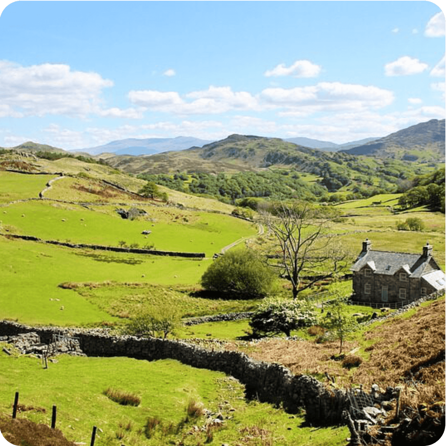 Stunning green hills and an old stone house in Wales, representing picturesque landscapes on tours of UK.