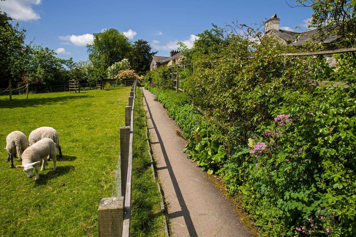 Beatrix Potter and the Lake District