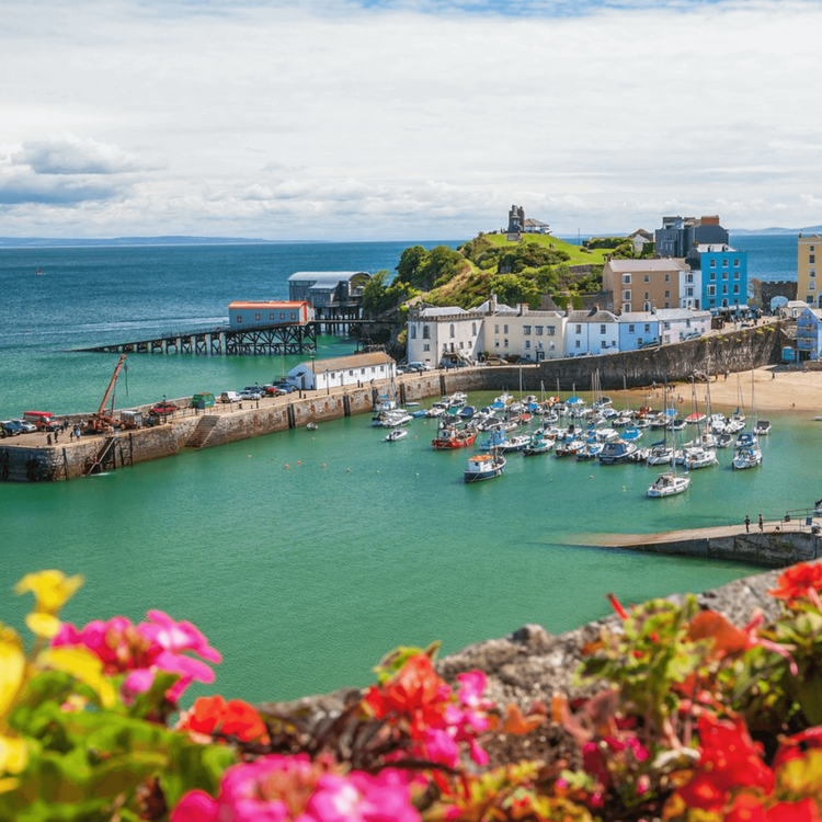 Stunning view of a Welsh harbor with colorful buildings, boats, and vibrant flowers in the foreground.